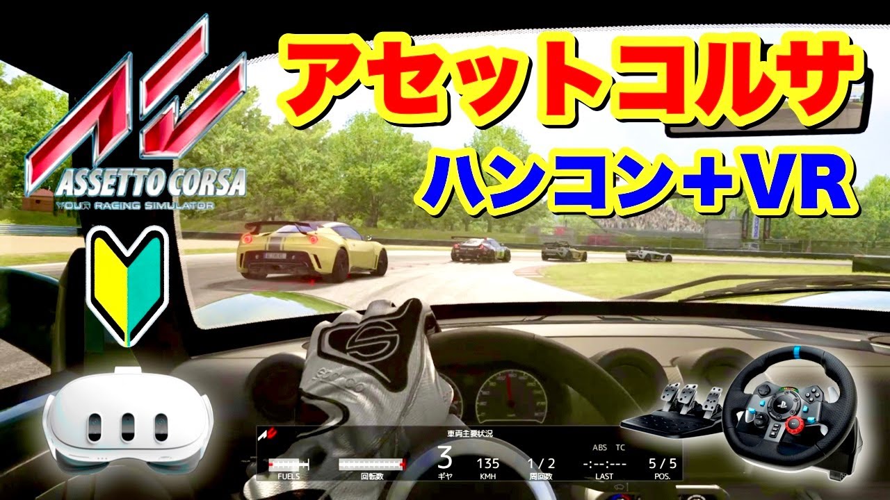 超初心者用【Assetto Corsa】ハンコン（G29）＋VR体験方法解説♪（初めてのアセットコルサ）