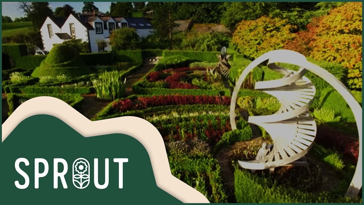 Unveiling Scotland's Magical Cosmos Garden | Sprout - Gardening Channel