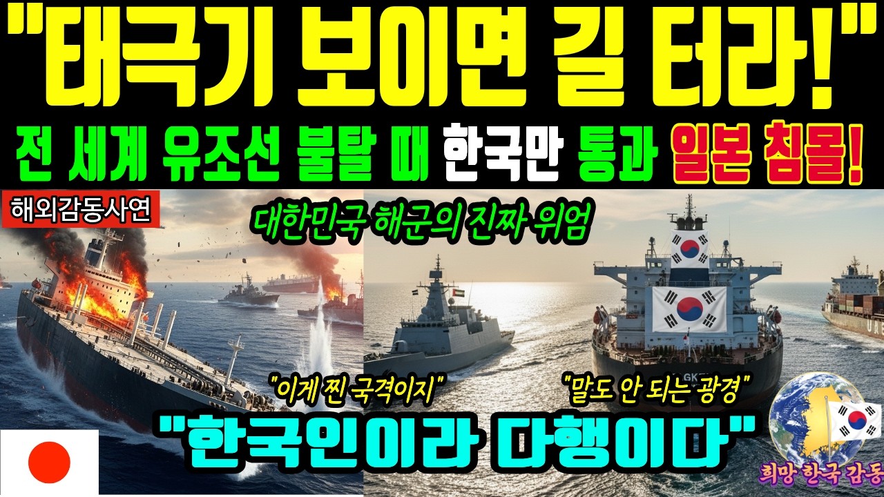 [해외감동사연] 태극기 기적! 호르무즈 해협 한국 유조선 청해부대 파병, 대한민국 해군 군사력 중동 위기 미국 이란 해외 반응