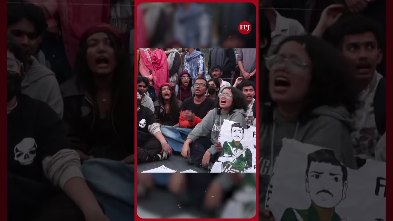 Delhi Pollution Protest Turns Violent: Pepper Spray Attack on Police at India Gate