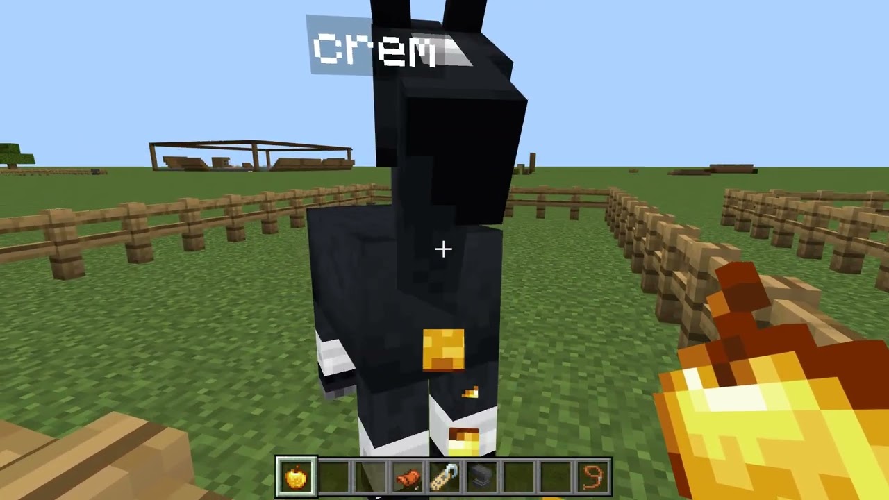 Visite de mon centre équestre minecraft
