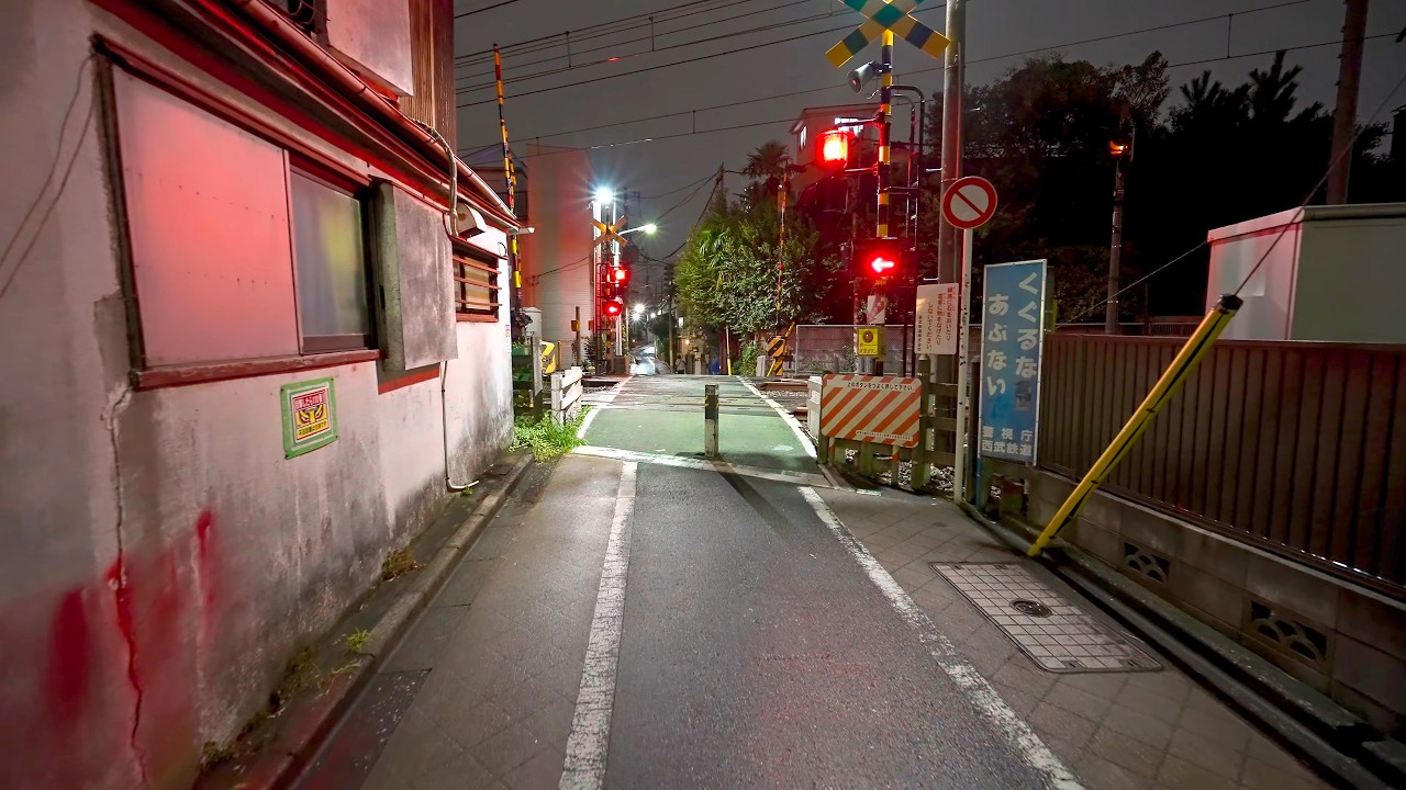 Tokyo walk from day to rainy night