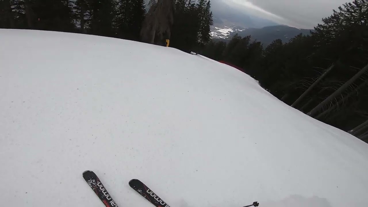 Folgarida (Madonna di Campiglio), Pista Nera 1