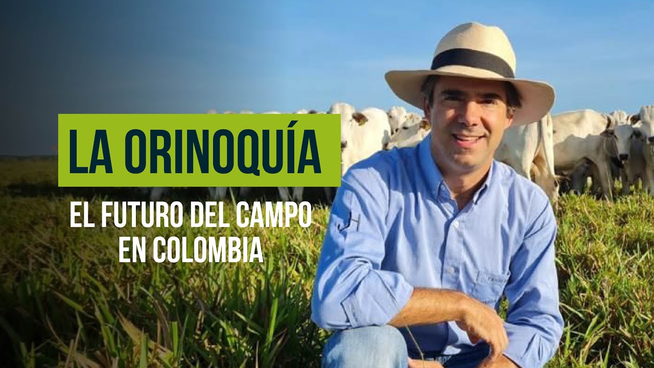 Orinoquía: el gigante dormido que puede alimentar al mundo | Paulo Moreira