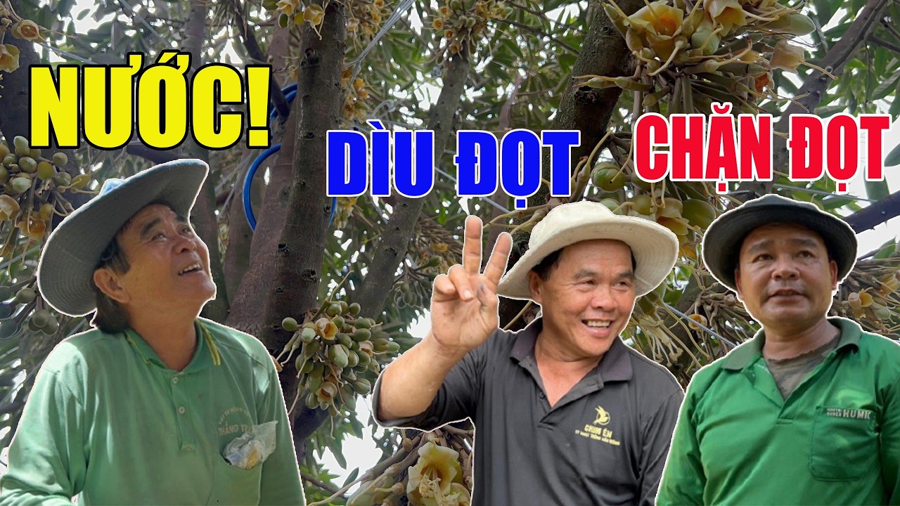 VẤN ĐỀ QUAN TRỌNG NHẤT KHI XỔ NHỤY