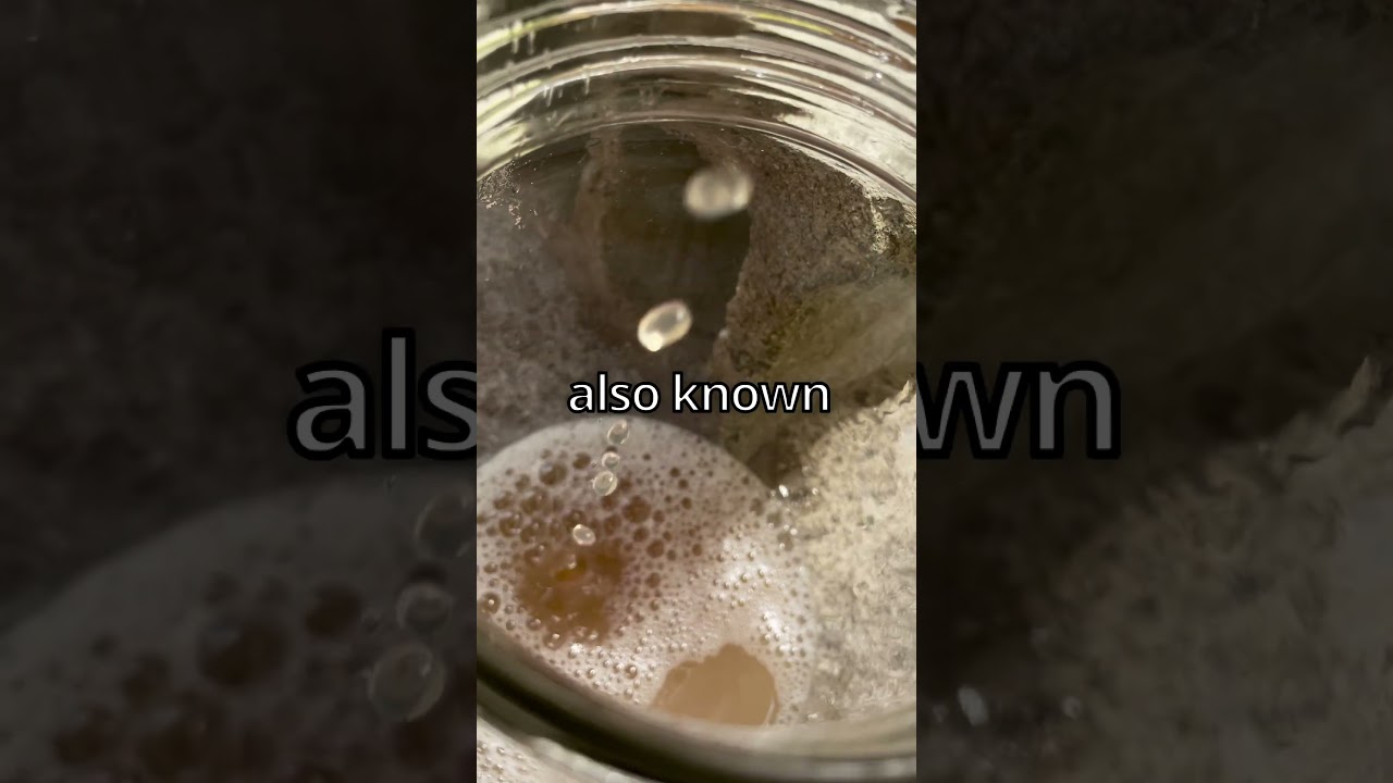 Making Hard Cider with Pears?!