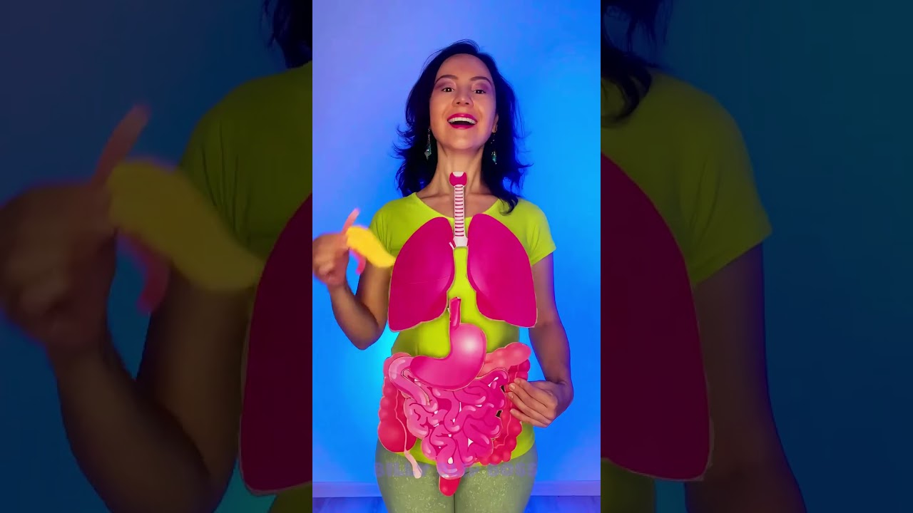 🧠 Body Secrets: Organs Inside Us!❤️ #kids #learn