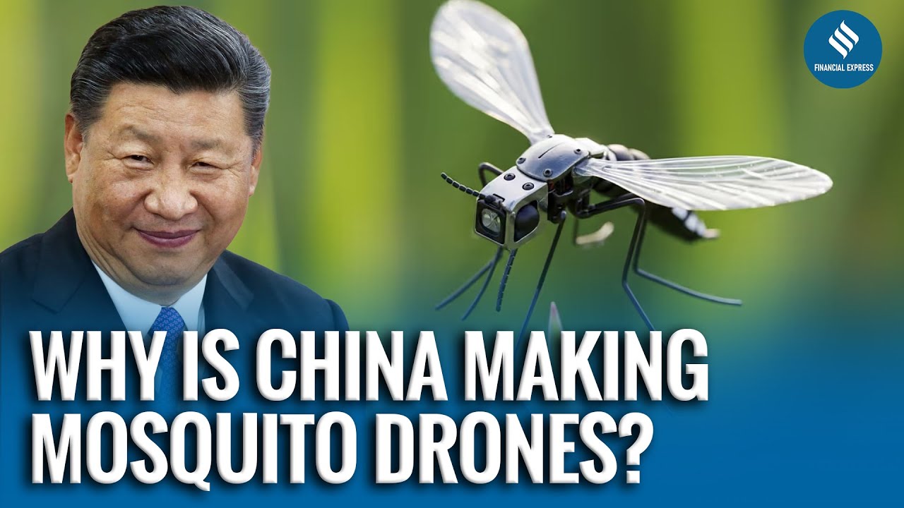 China’s Tiny Mosquito-Sized Drone Could Revolutionize Modern Warfare