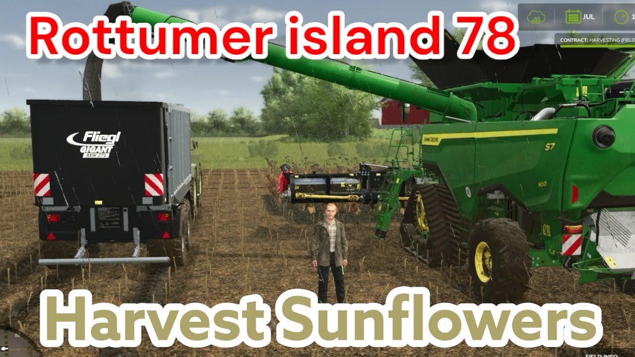 Rottumer island 78 | Harvesting Sunflower | Roling | FS25 |