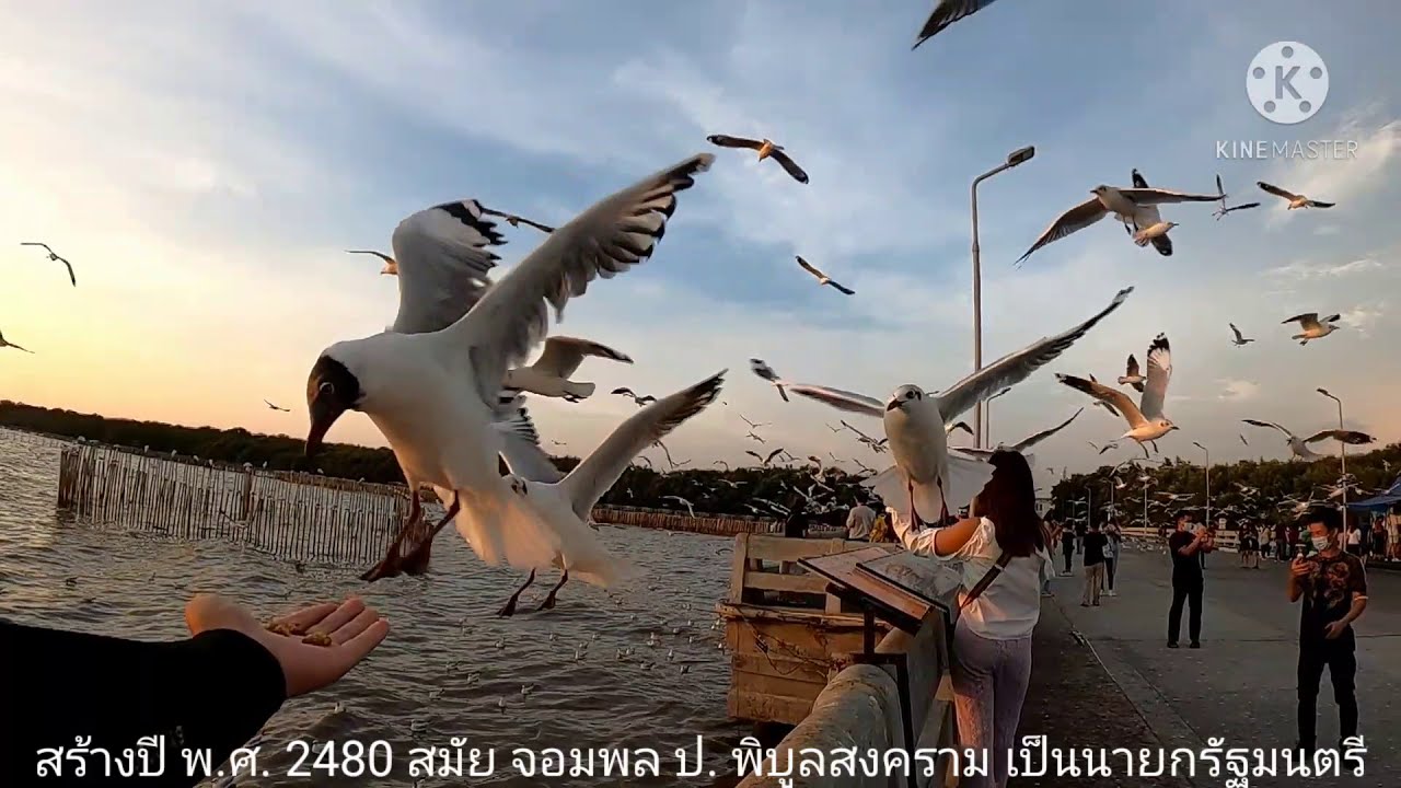 เที่ยวสถานตากอากาศบางปู #ห้ามพลาด