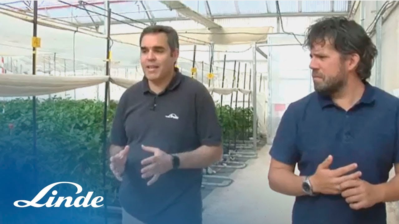 Abonado ambiental con CO2 en invernaderos - Entrevista para la Televisión de Murcia