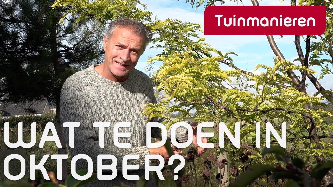 Wat te doen in oktober in de tuin? | Tuinmanieren