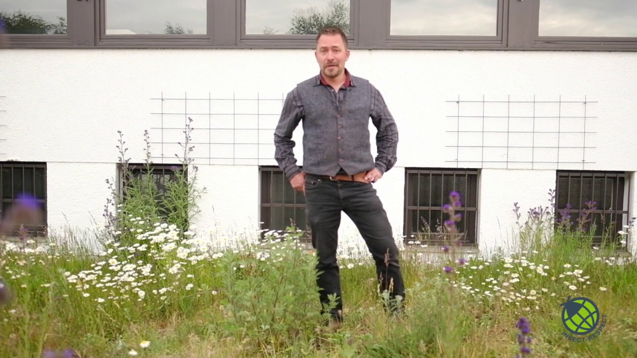 5 Tipps für insektenfreundliche Gärten und Firmengelände - mit Gartengestalter Helge Jung