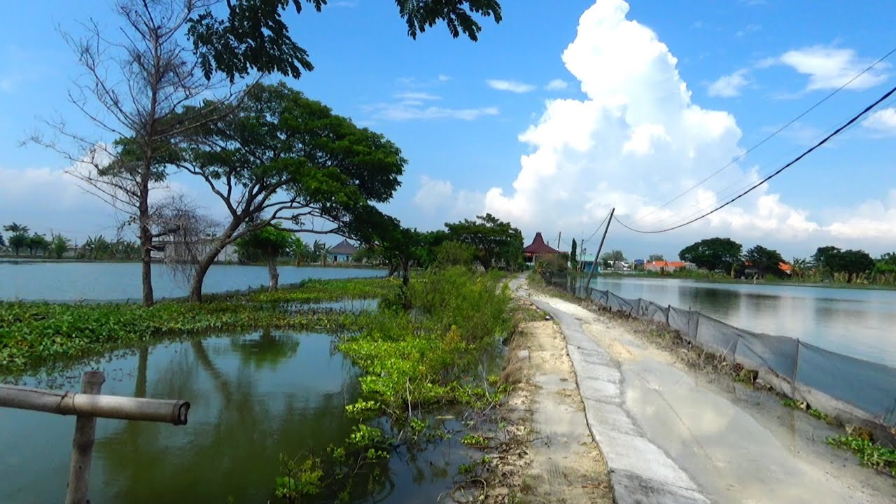 Gak rugi saya mancing disini bayar 10 ribu,, Mancing dapat banyak ikan mas dan nila babon² semua 