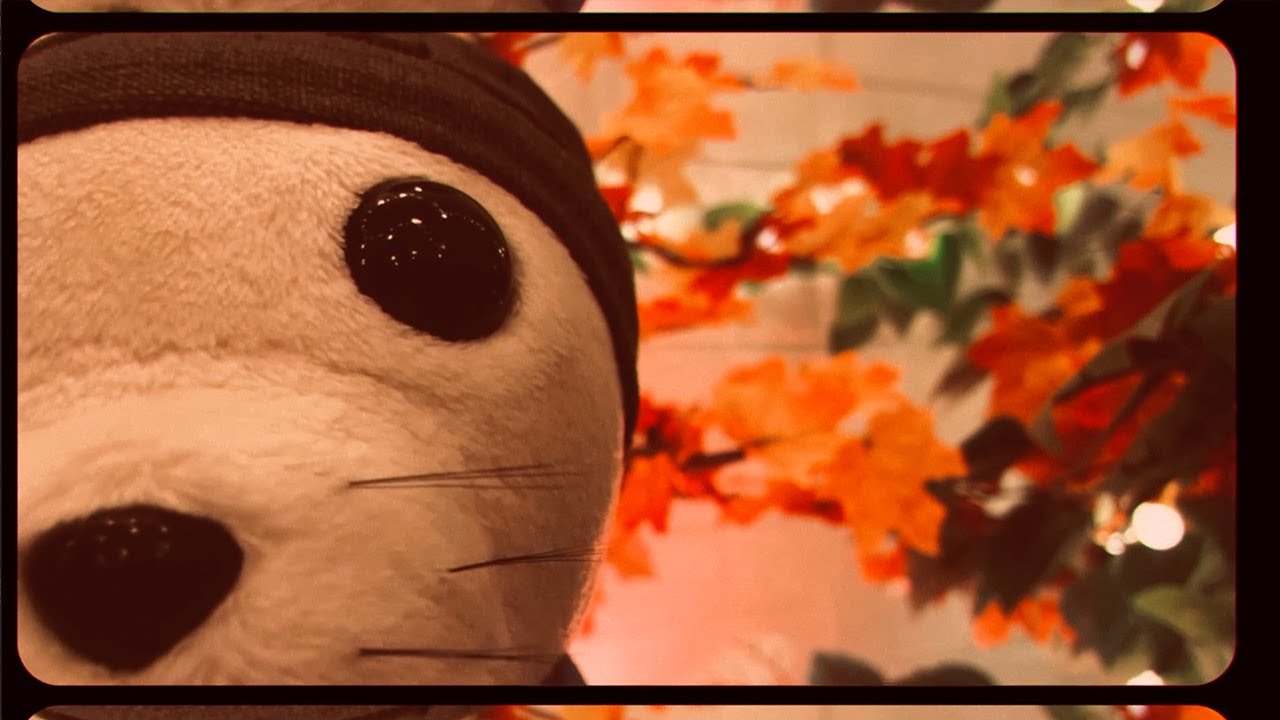 Vintage Fluffy Seal ASMR 🦭| Claw Tapping, Ramble & Cozy Tuck In