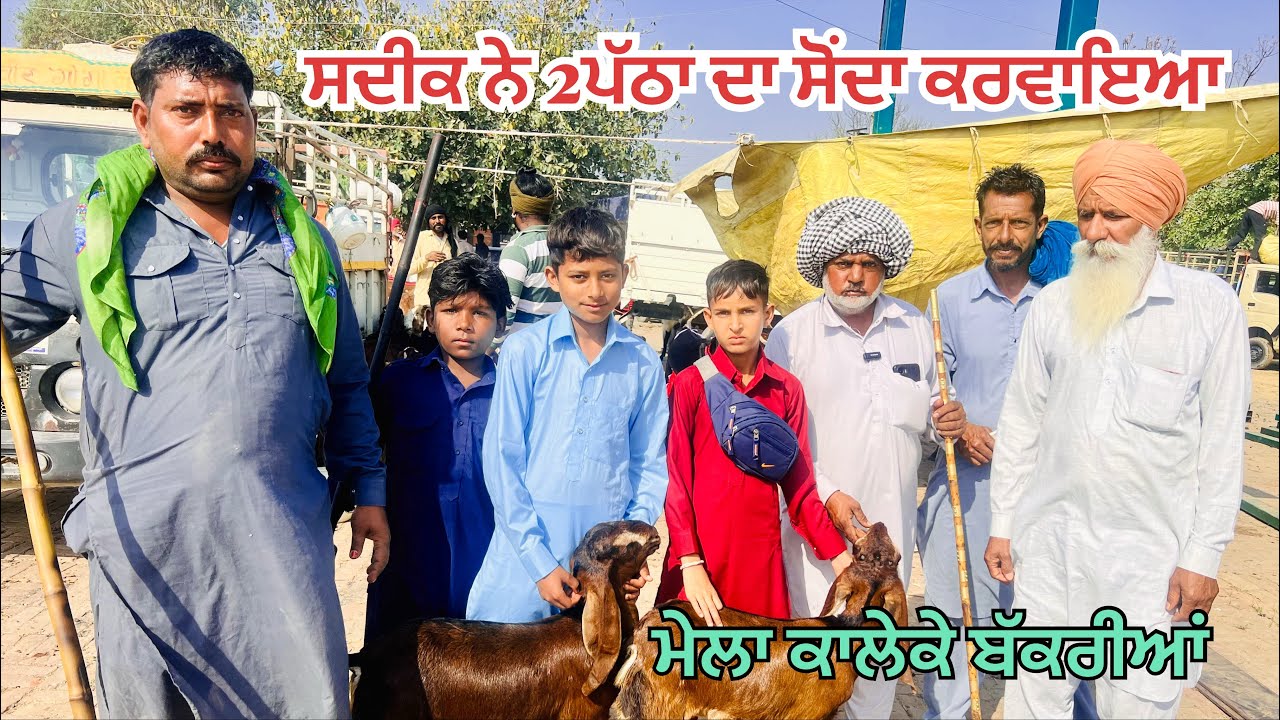 ਮੇਲਾ ਕਾਲੇਕੇ ਸਦੀਕ ਨੇ 2ਪੱਠਾ ਦਾ ਸੋਂਦਾ ਕਰਵਾਇਆ#bakramandi #naveedkhangoatfarm #goatfarming #naveedkhangoa