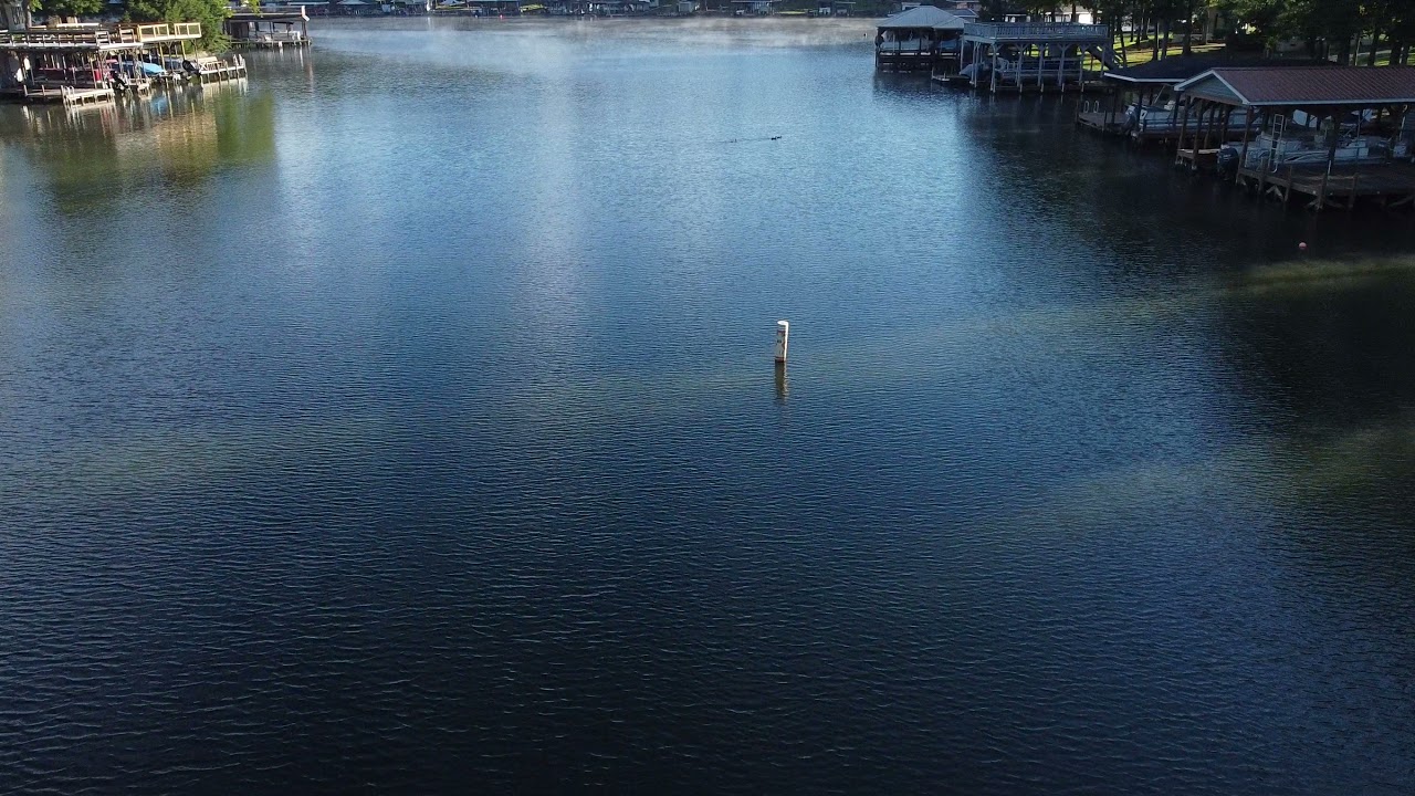 Morning Lake Tillery Cove Fog drifting