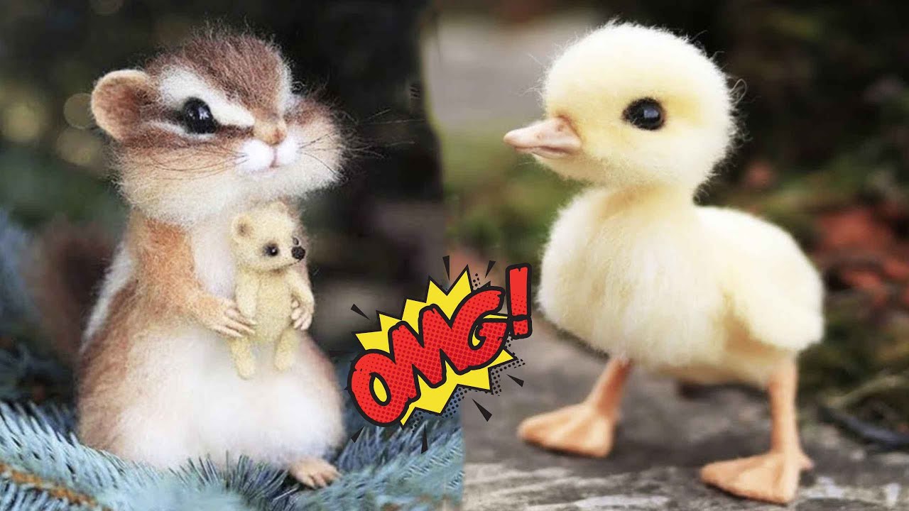 Side-Splitting Cat Antics: Moments That Will Leave You in Stitches!