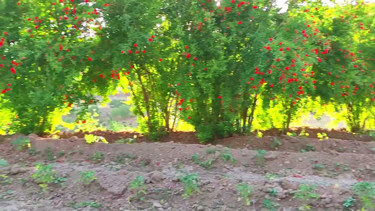 MARDİN KAYNAKKAYA KÖYÜ 2021 & SAZBEND TURAN
