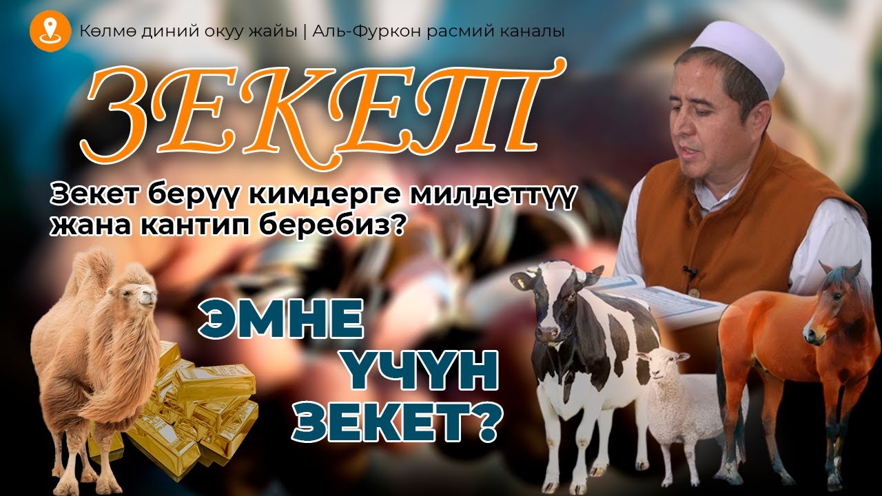 Зекет берүү кимдерге милдеттүү жана кантип берилет? Зекет жөнүндө билип алыңыз....