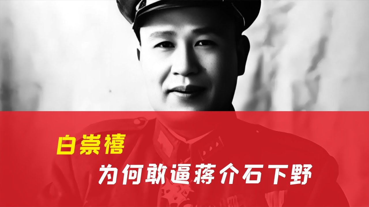 白崇禧為何敢挑戰蔣介石？底氣何在？超級漲粉計劃的驚人真相 #历史 #战争 #军事 #国军 #抗战