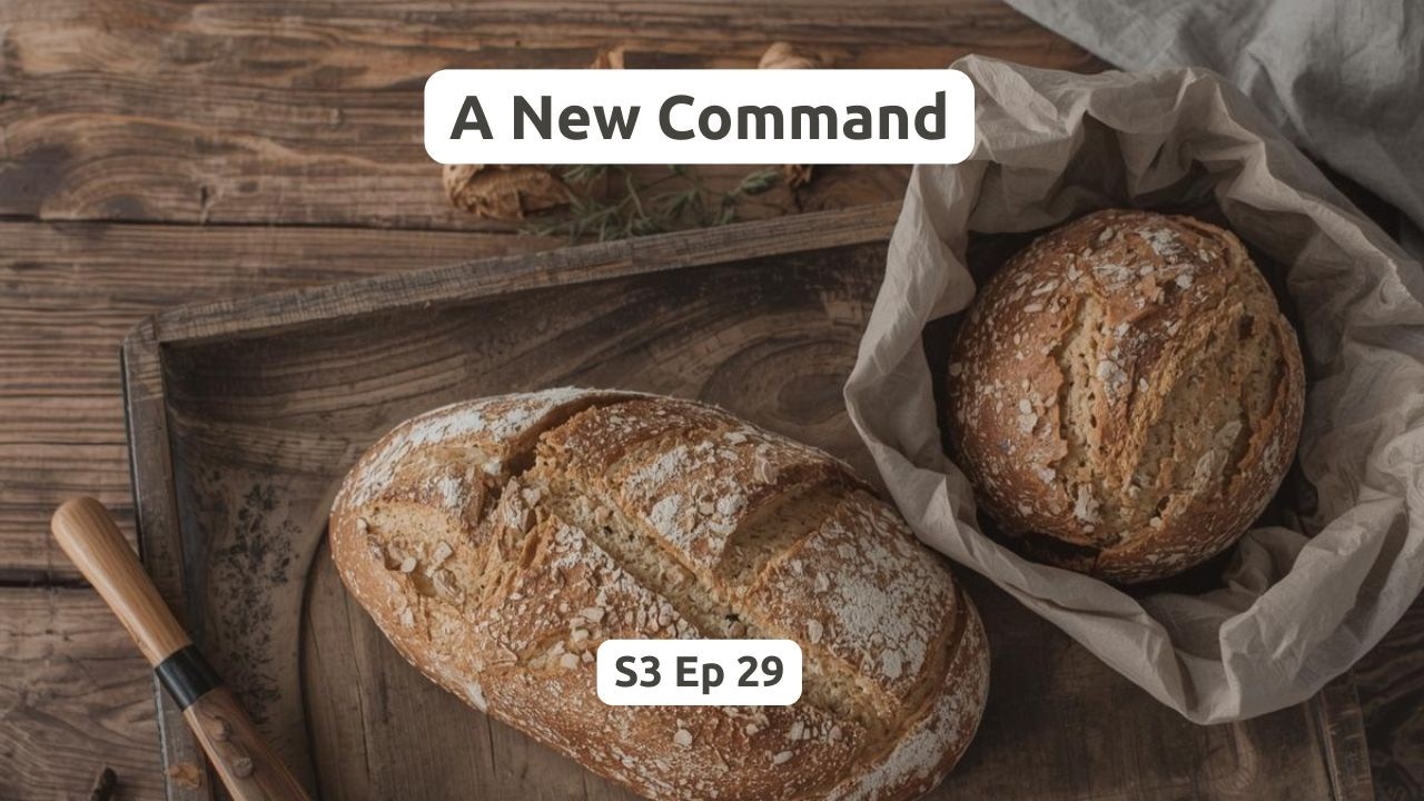 A New Command (S3 Ep29)