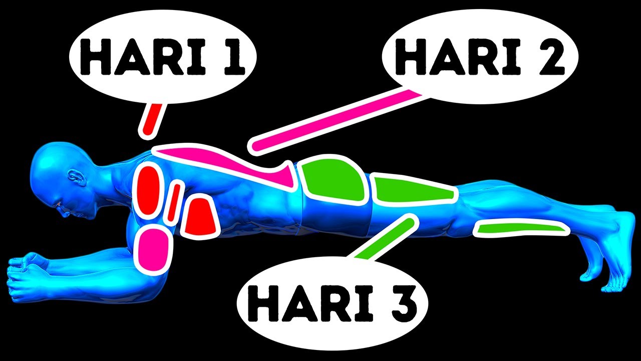 6 Otot yang Harus Kamu Latih Bersama Agar Lebih Cepat Jadi
