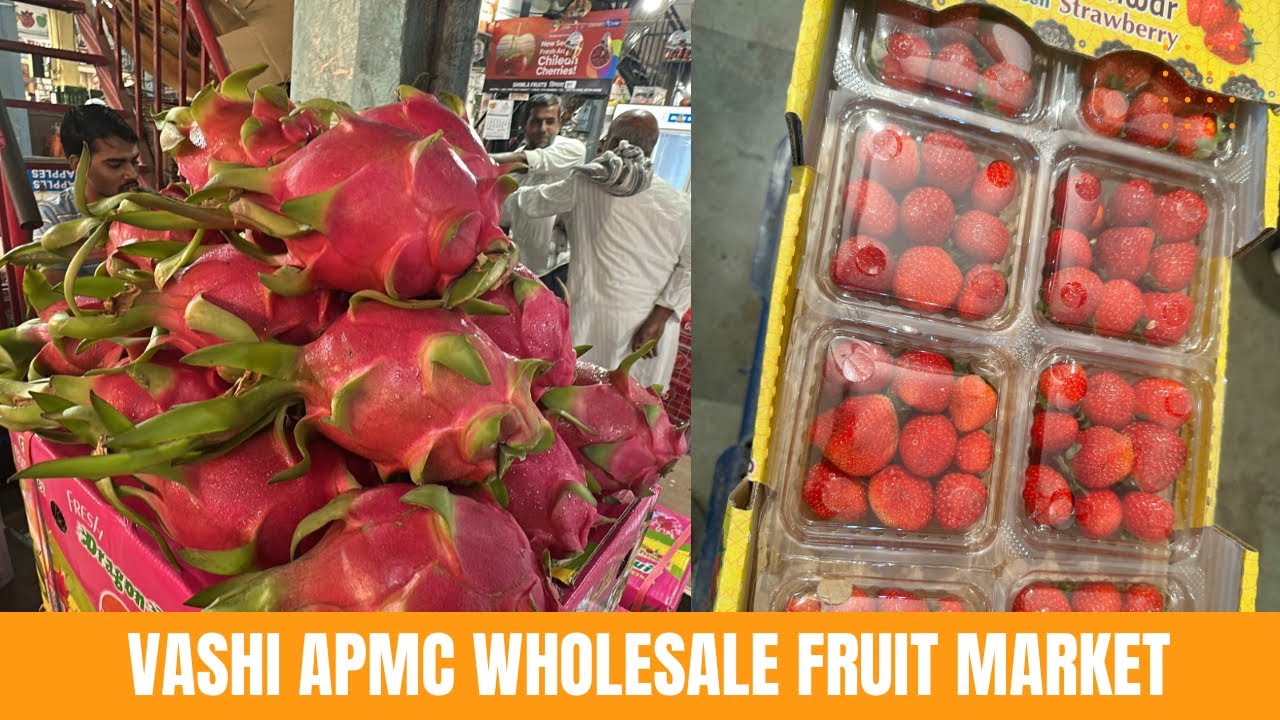 APMC Market Vashi Fruit Rates Today | Mumbai APMC Vashi Market | Cheapest Fruit Market in Mumbai