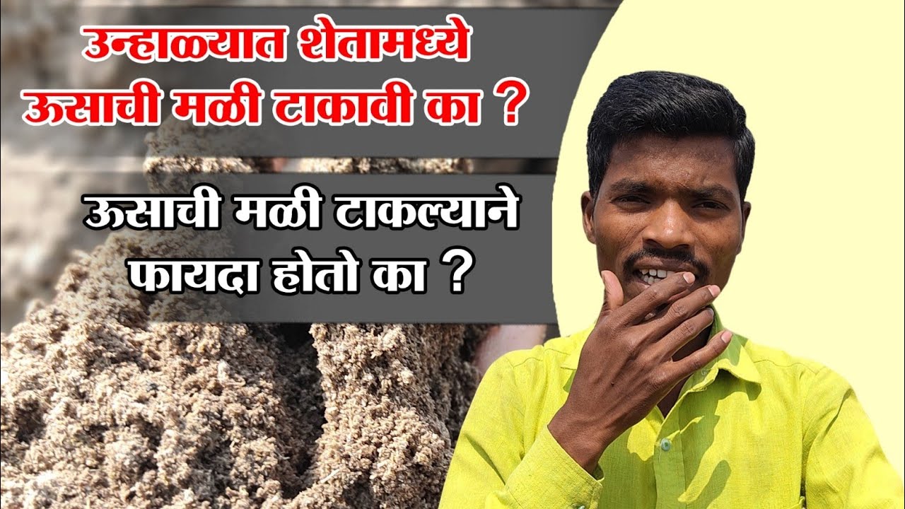 उन्हाळ्यात शेतामध्ये ऊसाची मळी टाकावी का? | ऊसाची मळी माहिती | Usachi Mali Information