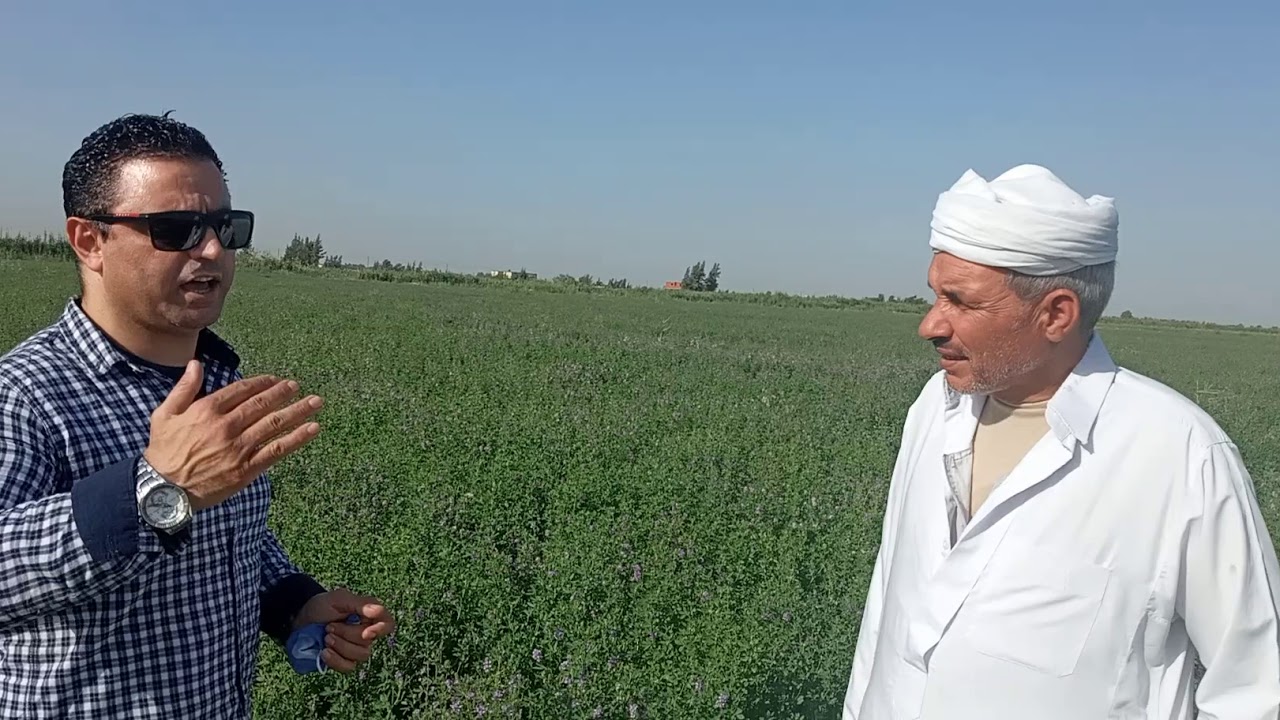 نوفا بلس ومعلومات هامه عن النوفا بلس في كلمة دكتور هشام صلاح مع احد المزارعين في برج العرب