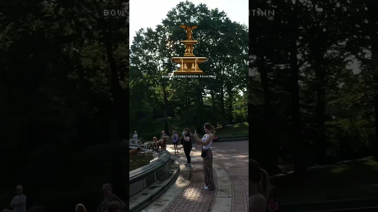 Dog&rsquo;s Big Splash 🐶💦 | Central Park&rsquo;s Bethesda Fountain