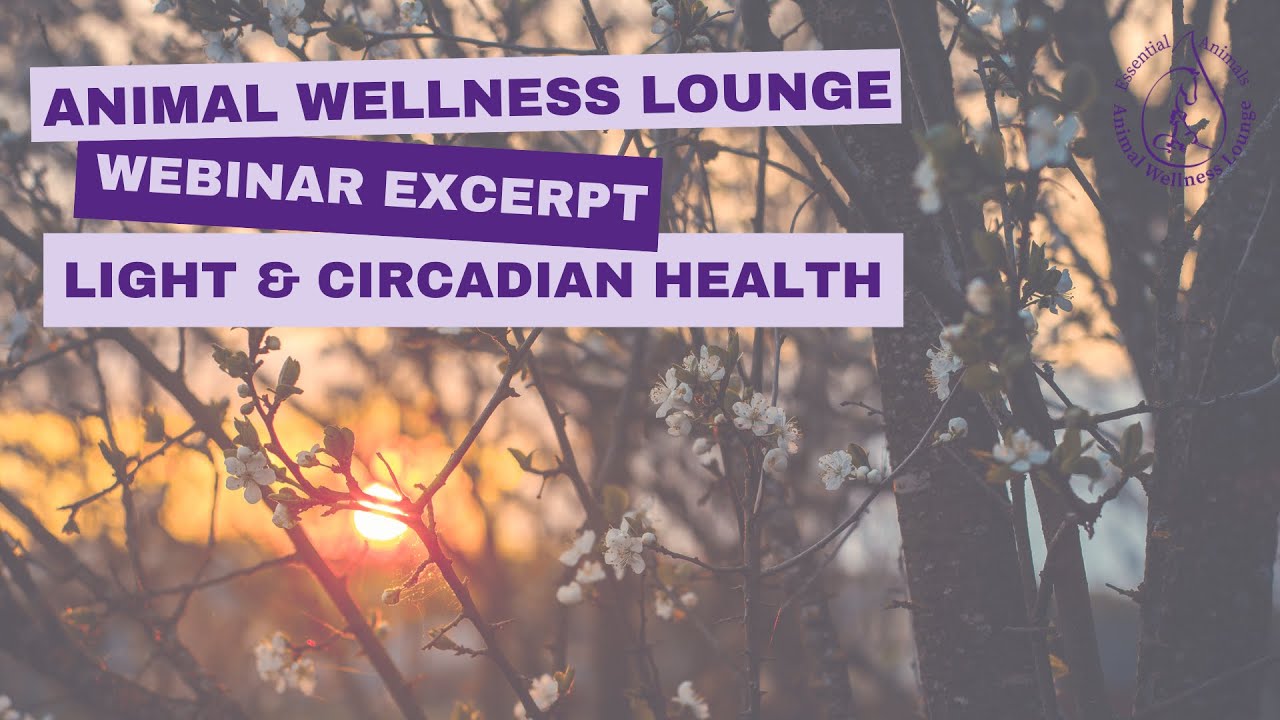 Light and Circadian Health - AWL Webinar Excerpt
