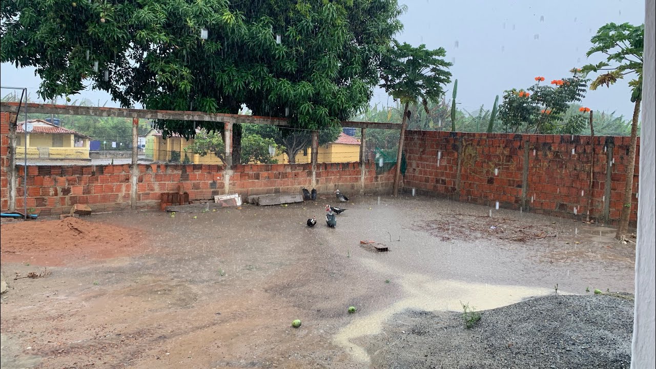 Hj o dia é com chuva no sítio buriti 