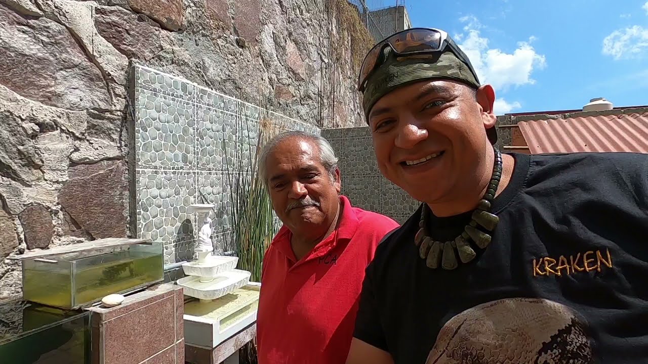 EL MEJOR ESTANQUE DE KOIS (EL estanque de mi papá) Reprodujo peces  japoneses 😮