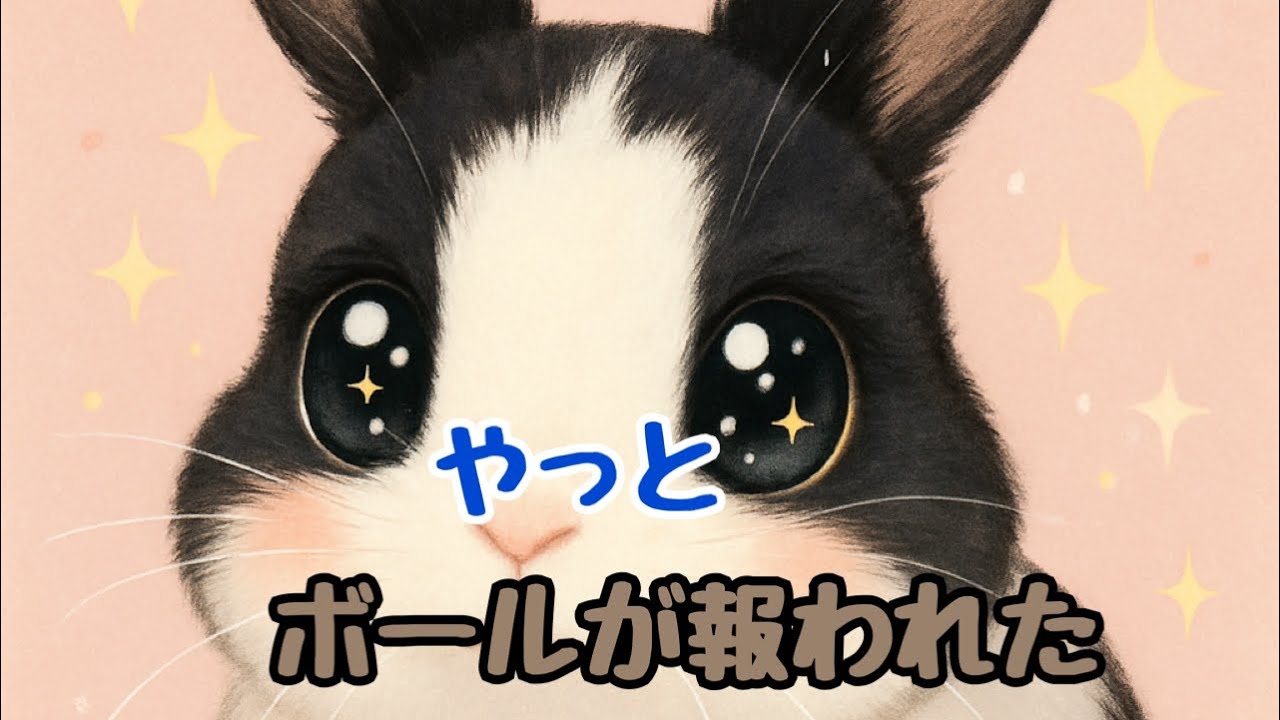 【配信予定だった動画】強引におもちゃをすすめる【激おこ】