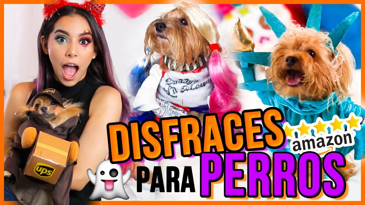 PROBANDO DISFRACES PARA PERROS DE AMAZON  ♥ Jimena Aguilar