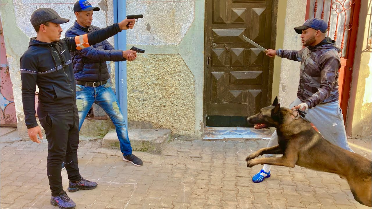 فيلم قصير:(بسبب الظلم خرج إلى الإجرام بكلبه) الأكشن و لإثارة