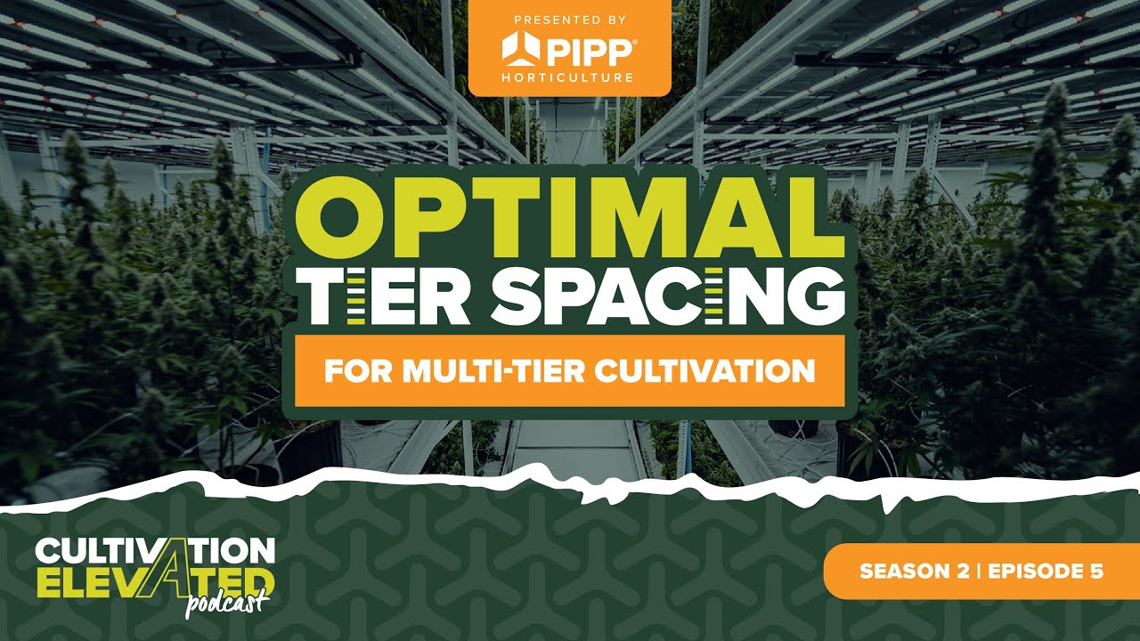 Optimal Tier Spacing For Multi Tier Cultivation