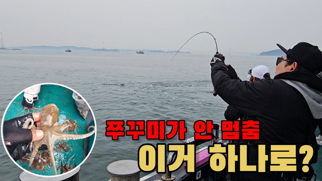 이거 하나 썼더니 왕 쭈꾸미가 계속 올라옵니다