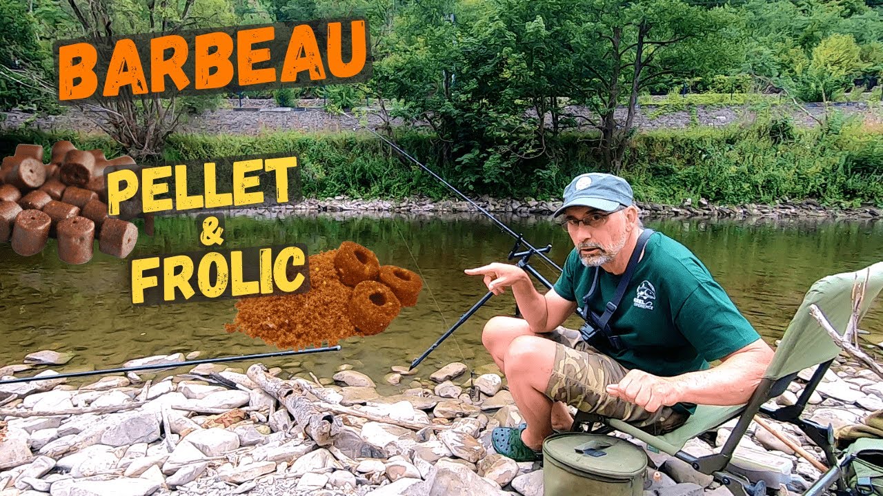 Ultime session Barbeau avant la fermeture en rivière