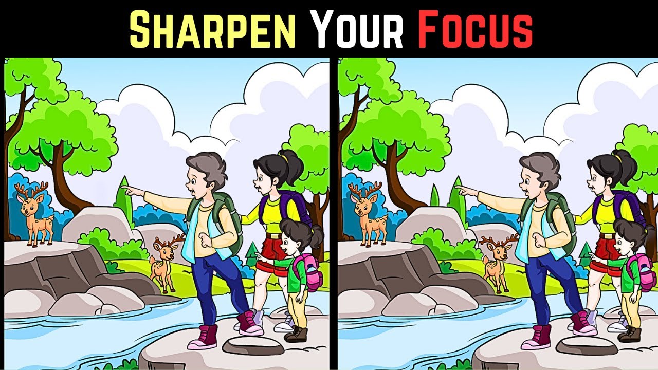 What is Different Easy to Hard Sharpen Your Focus Challenge