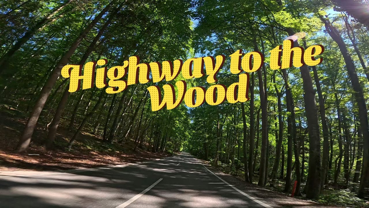 Highway to the Wood 🏍️🏍️#motorradtour #motorradreise #highway #landstraße #strecken #motorradfahren