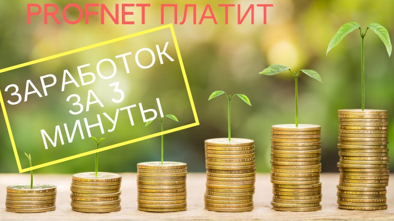 Вывожу 8000 рублей с проекта PROFNET Проект платит!!!