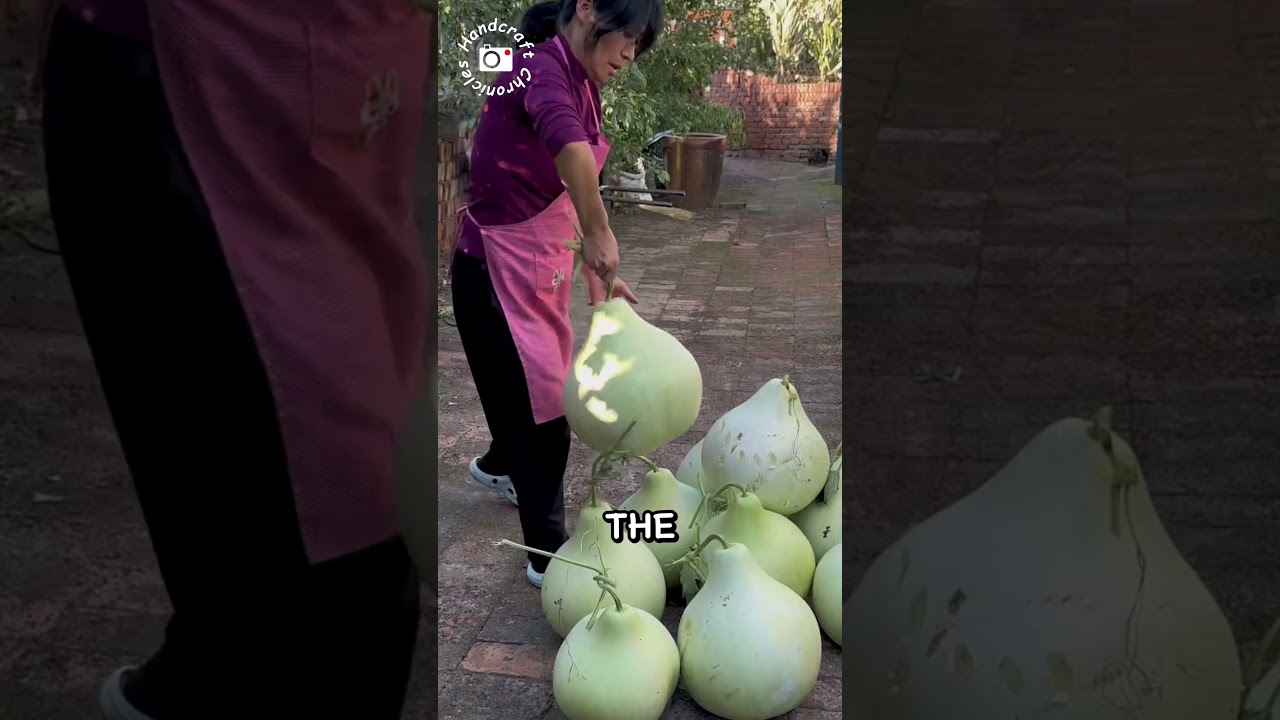 Giant Rooftop Gourds.