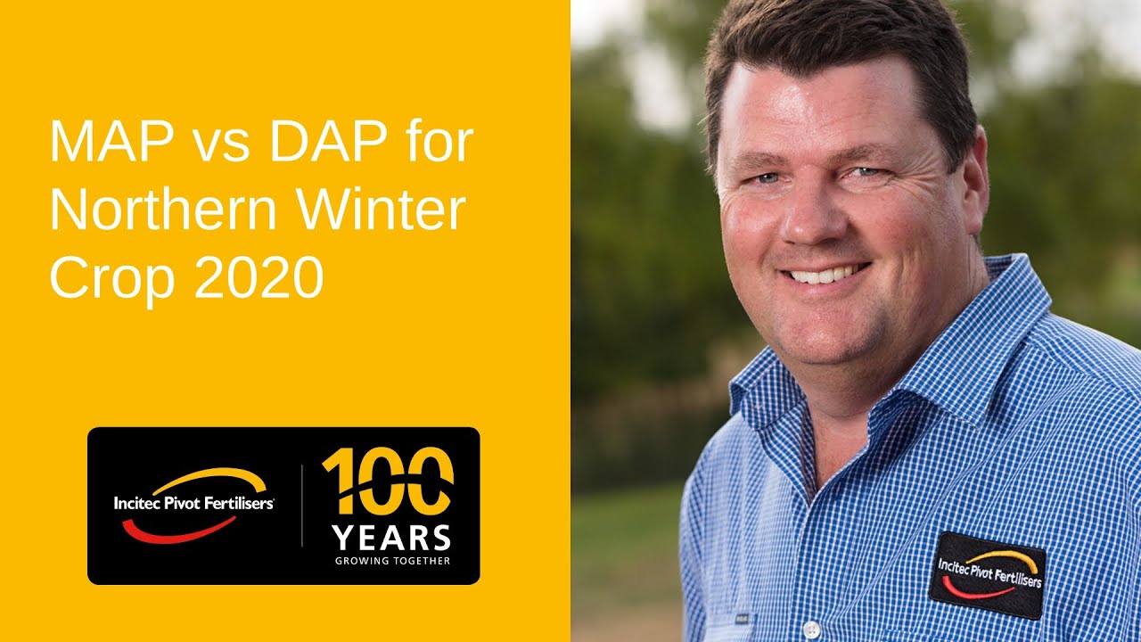 MAP vs DAP for Northern Winter Crop 2020 by Bede O'Mara