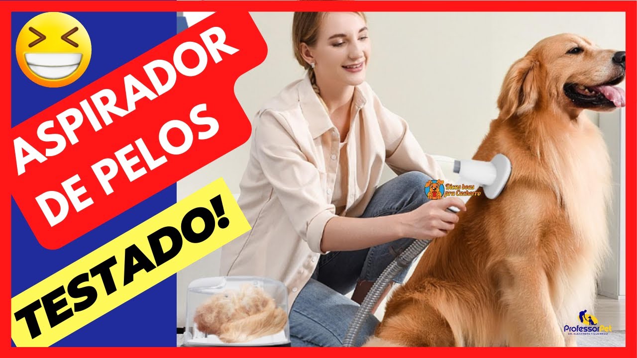 CASA SUJA de PELOS DE CACHORRO? Descubra como LIMPAR CACHORRO com o ASPIRADOR DE PELOS 5 em 1!