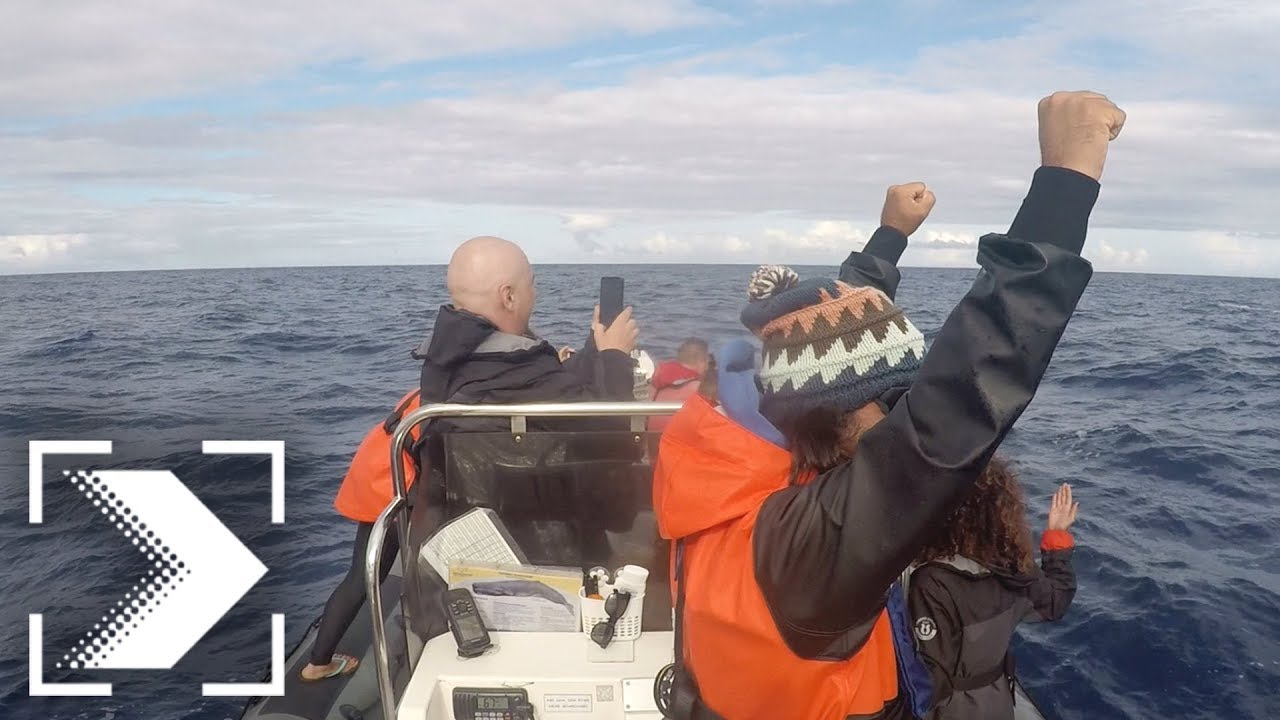 Españoles en el mundo: Avistamiento de ballenas en Las Azores | RTVE