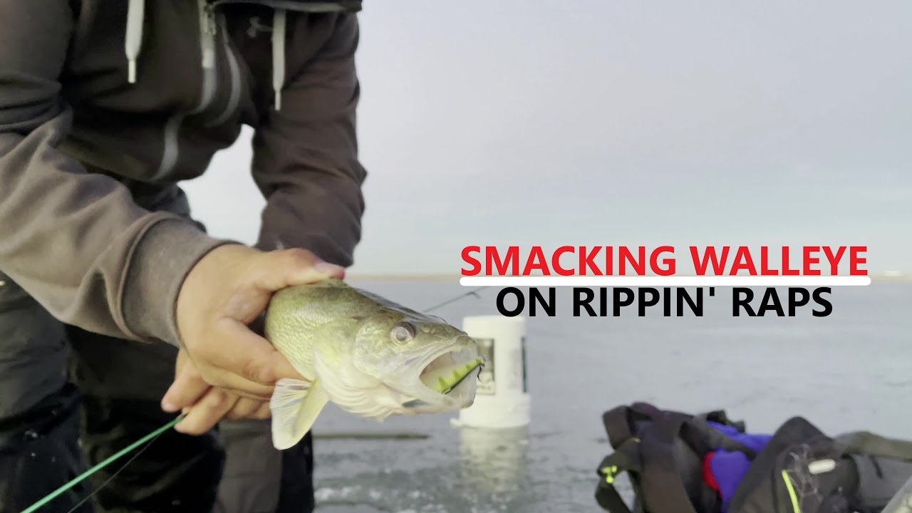 Smashing COLORADO Walleye on Rattle Baits Ice Fishing