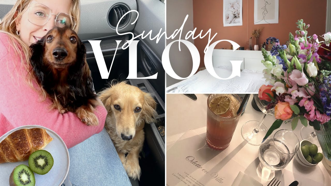 SUNDAY VLOG ⎮ plein de teckels 🌭🐶, ménage, resto entre amis