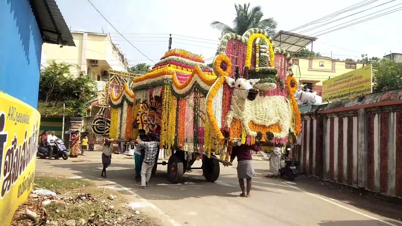 Mayiladuthurai Thula Urchavam 2025 #sivan 